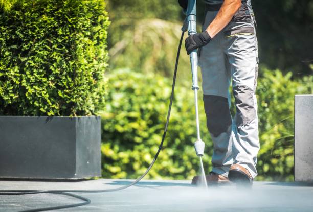 Best Boat and Dock Cleaning  in South Patrick Shores, FL
